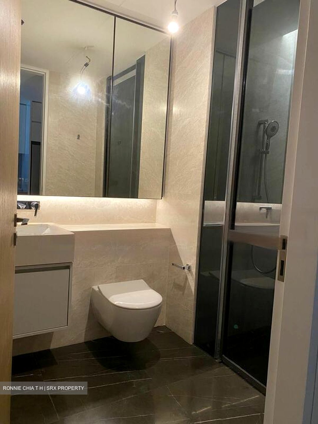 Amber Park (D15), Condominium #458152941